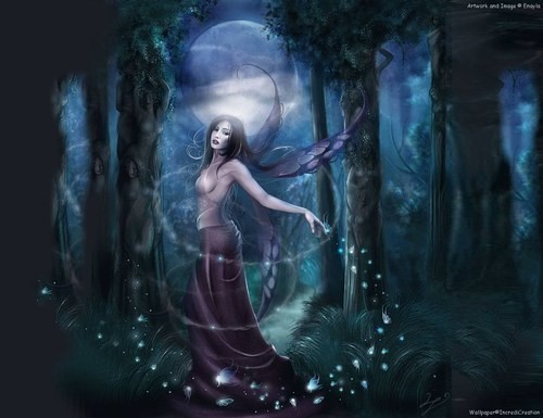 Les elfes des bois 3